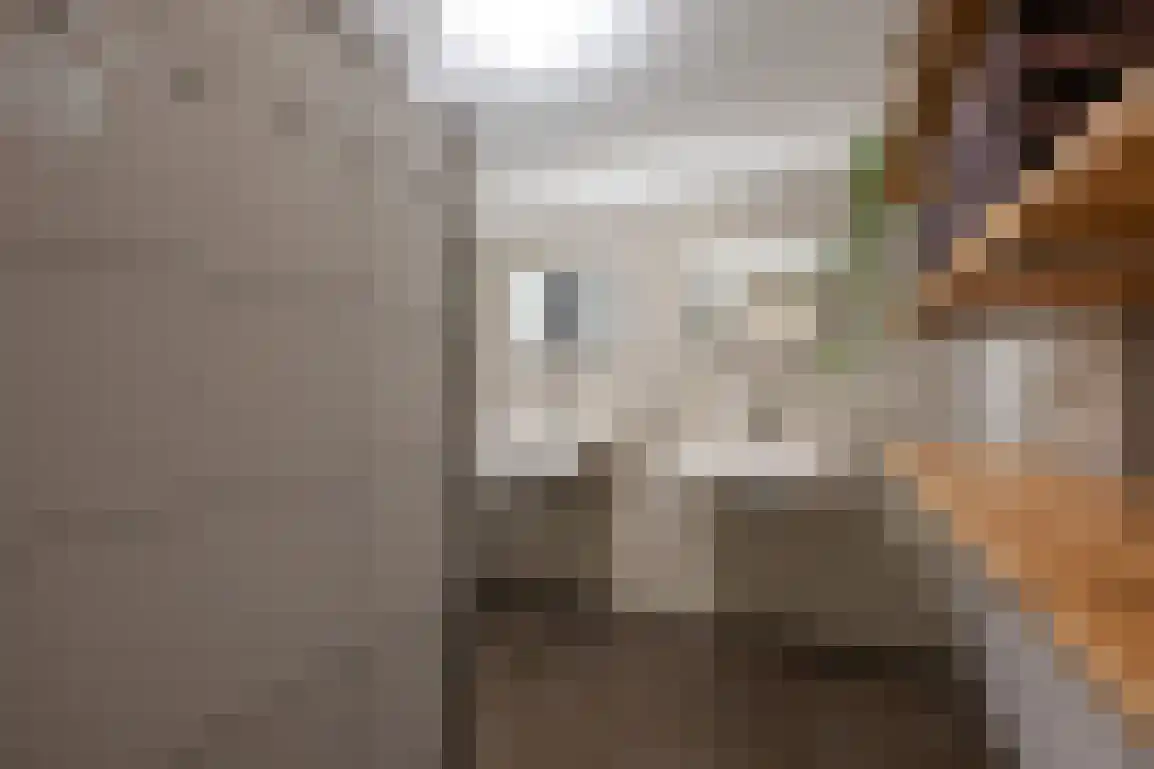 Melkdijkje 10 Goedereede thumbnail 27
