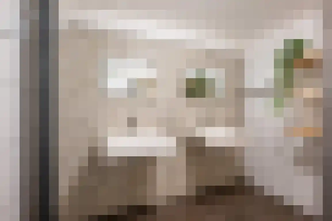 Melkdijkje 10 Goedereede thumbnail 28