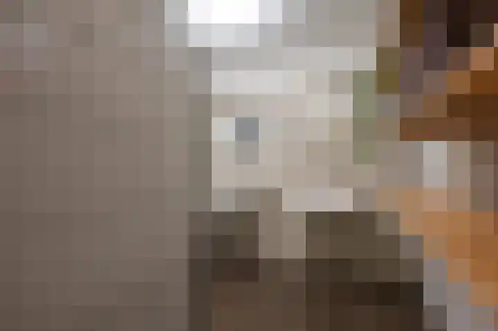 Melkdijkje 10 Goedereede thumbnail 29