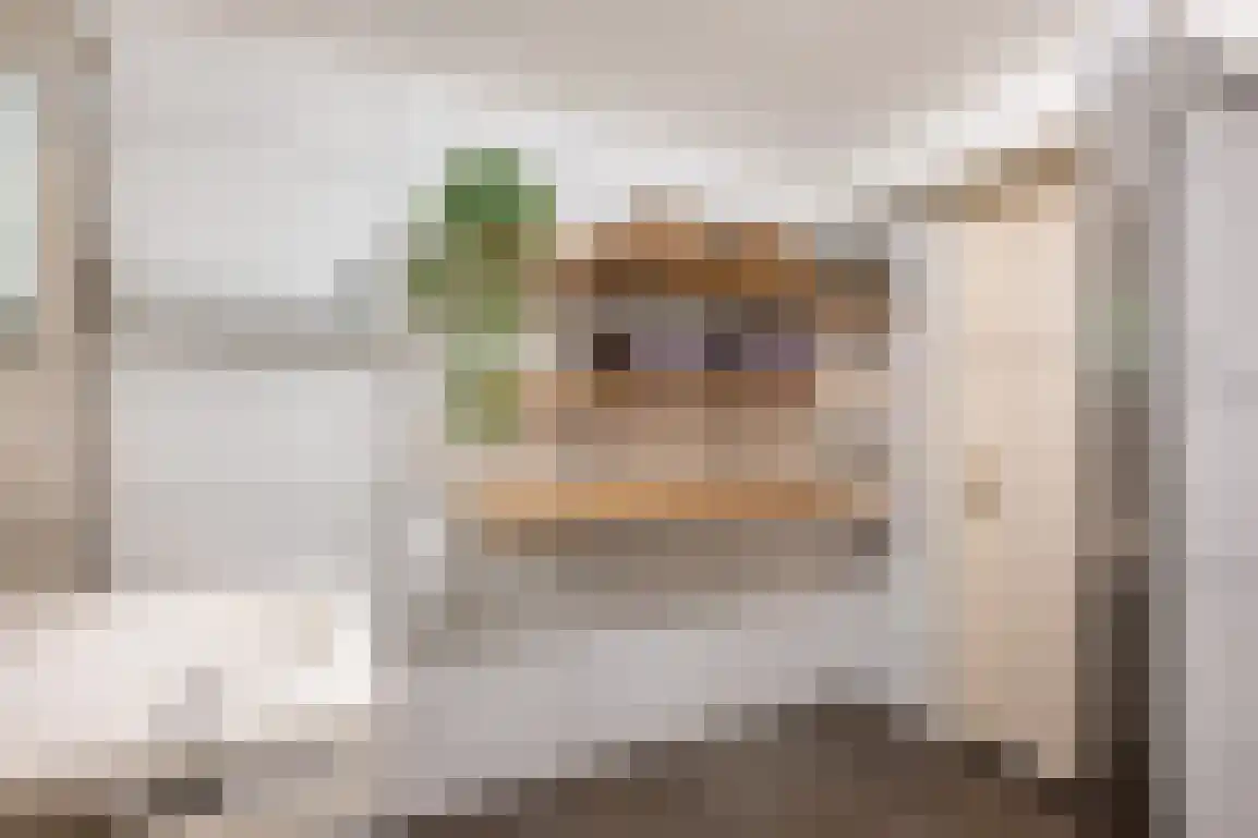 Melkdijkje 10 Goedereede thumbnail 29