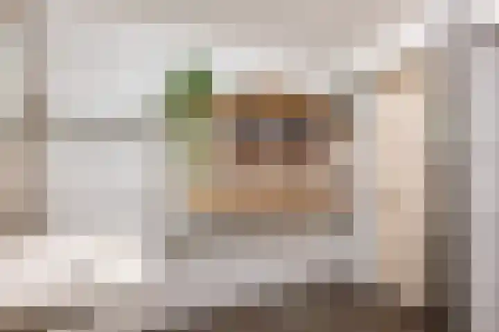 Melkdijkje 10 Goedereede thumbnail 31