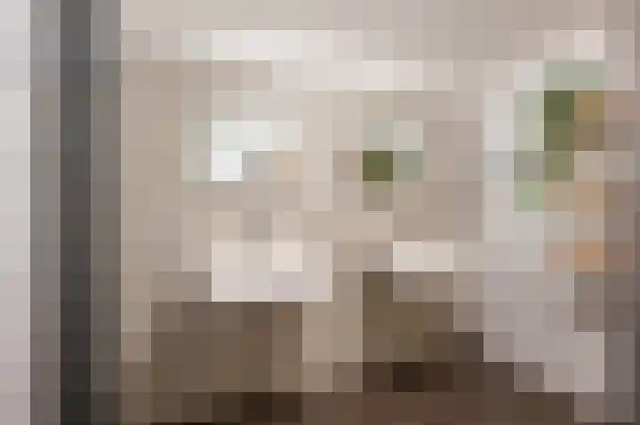 Melkdijkje 10 Goedereede thumbnail 32