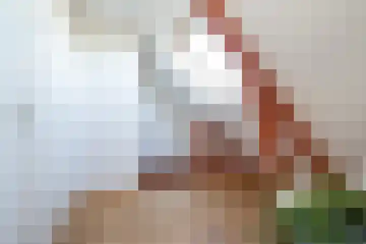 Melkdijkje 10 Goedereede thumbnail 34