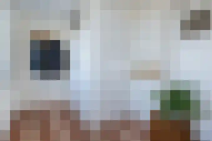 Melkdijkje 10 Goedereede thumbnail 6