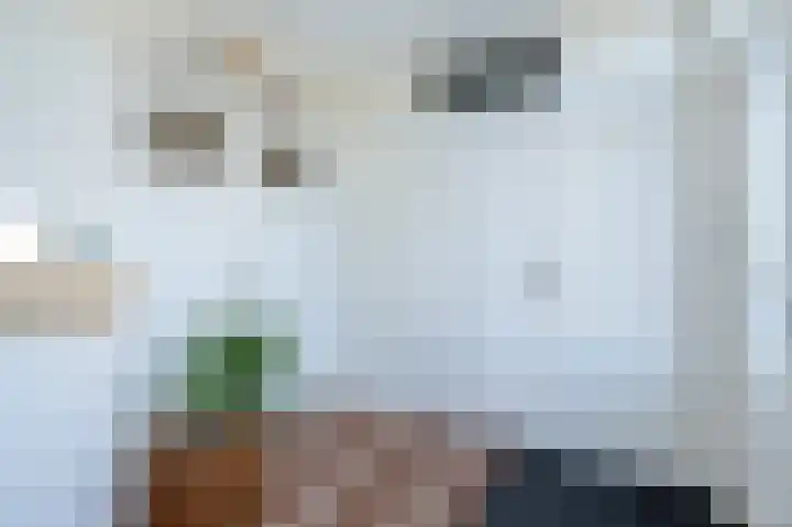 Melkdijkje 10 Goedereede thumbnail 7