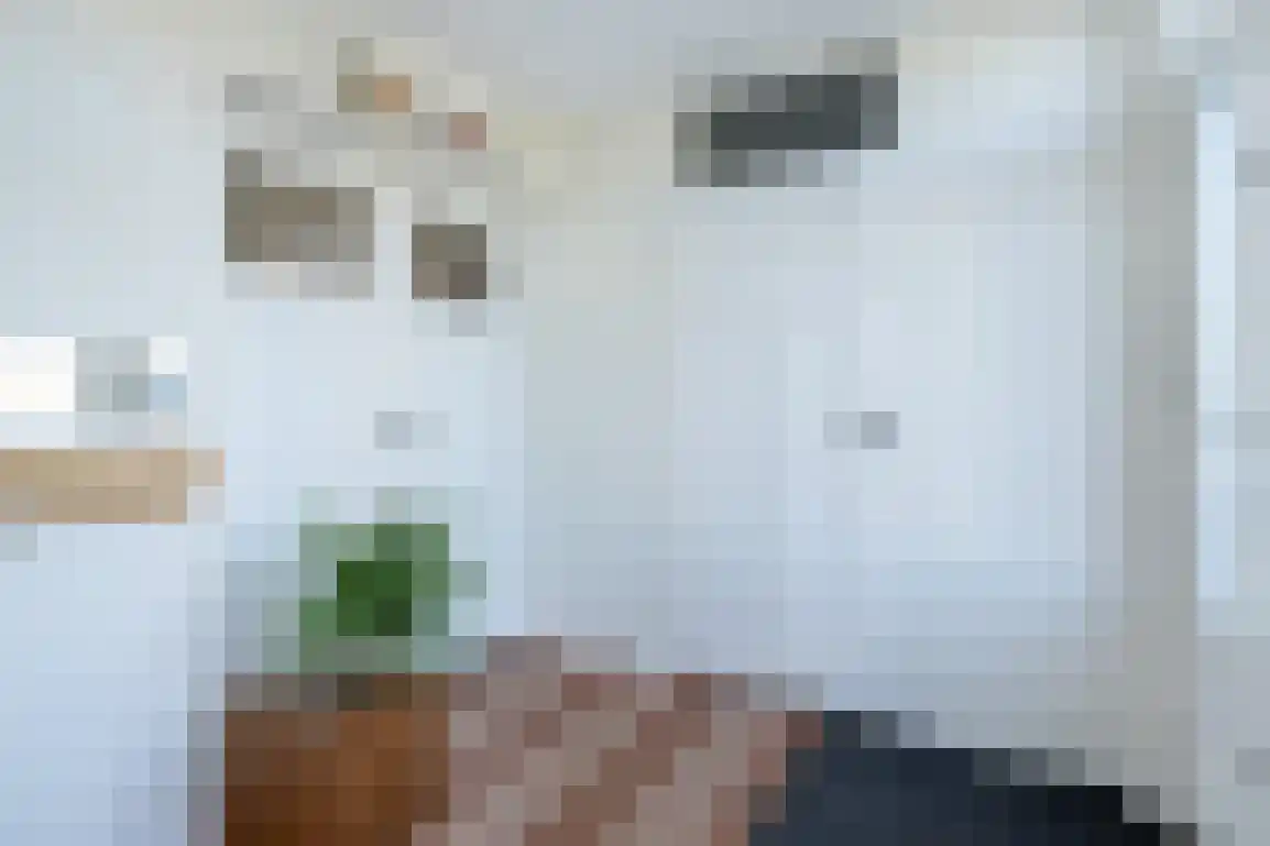 Melkdijkje 10 Goedereede thumbnail 7