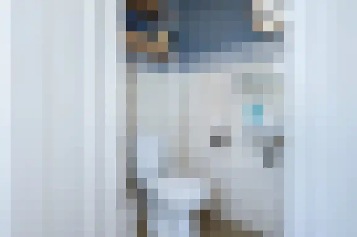 Melkdijkje 10 Goedereede thumbnail 8