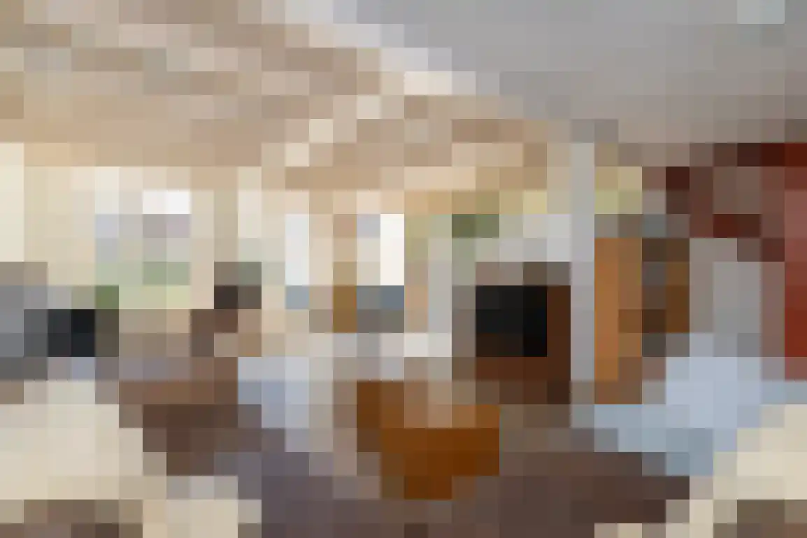 Melkdijkje 10 Goedereede thumbnail 9