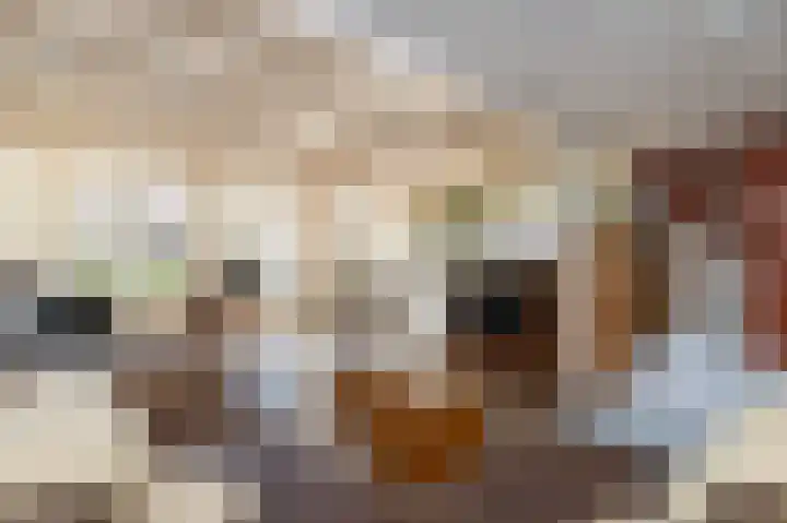 Melkdijkje 10 Goedereede thumbnail 9