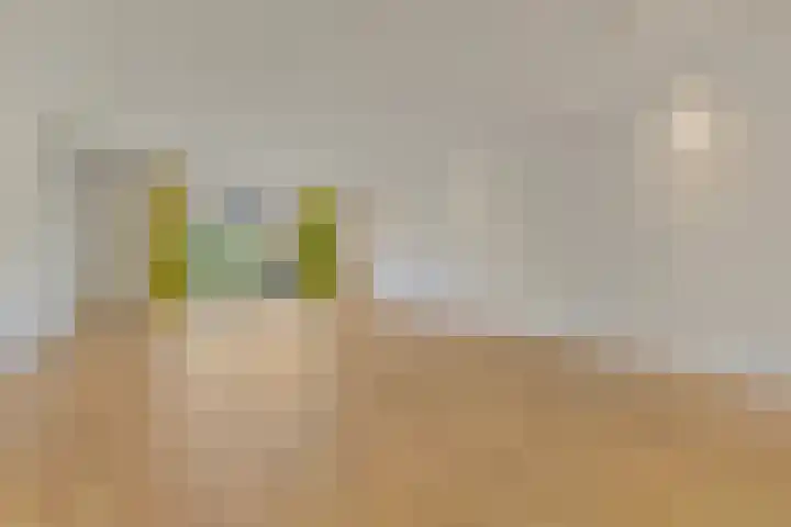Melkdragerhof 16 Delfgauw thumbnail 11