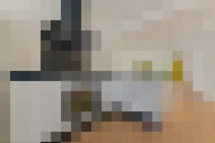 Melkdragerhof 16 Delfgauw thumbnail 14