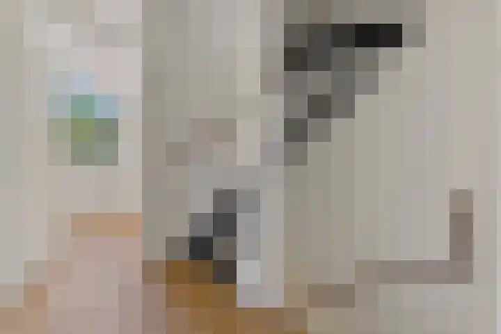 Melkdragerhof 16 Delfgauw thumbnail 23