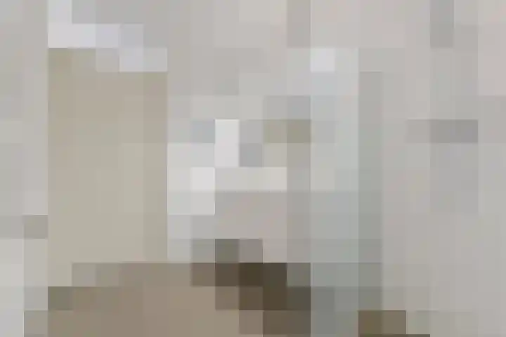 Melkdragerhof 16 Delfgauw thumbnail 28
