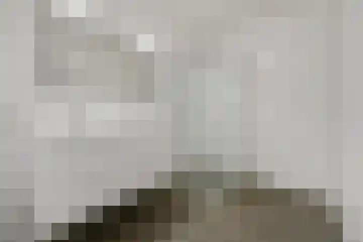Melkdragerhof 16 Delfgauw thumbnail 5
