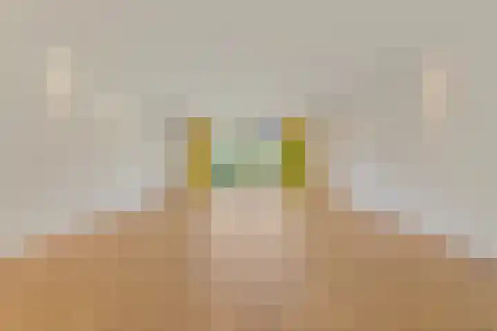 Melkdragerhof 16 Delfgauw thumbnail 9