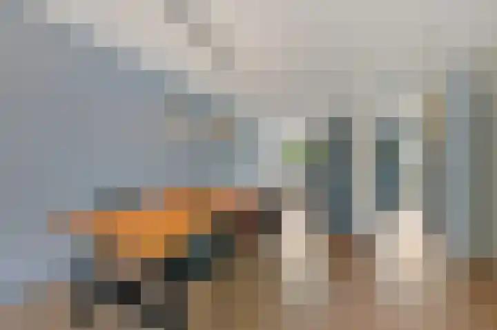 Melkdragerhof 20 Delfgauw thumbnail 12
