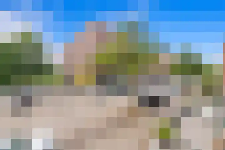Melkdragerhof 20 Delfgauw thumbnail 33