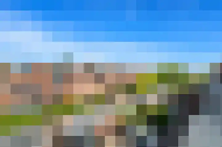 Melkdragerhof 20 Delfgauw thumbnail 42