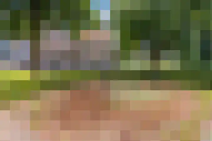 Melkdragerhof 20 Delfgauw thumbnail 44