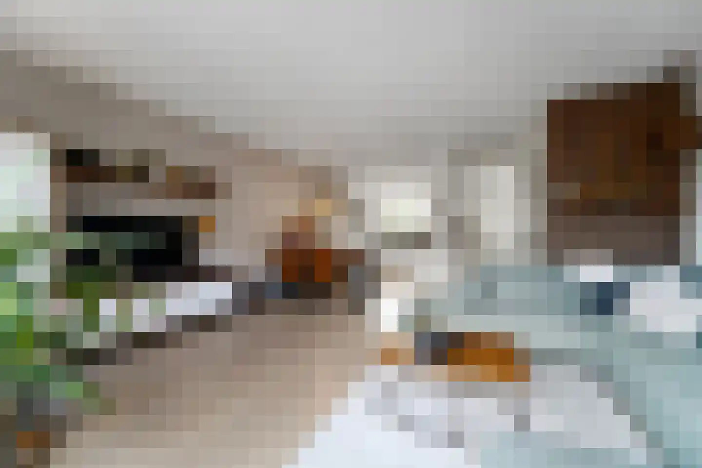 Melkdragerhof 4 Delfgauw thumbnail 11