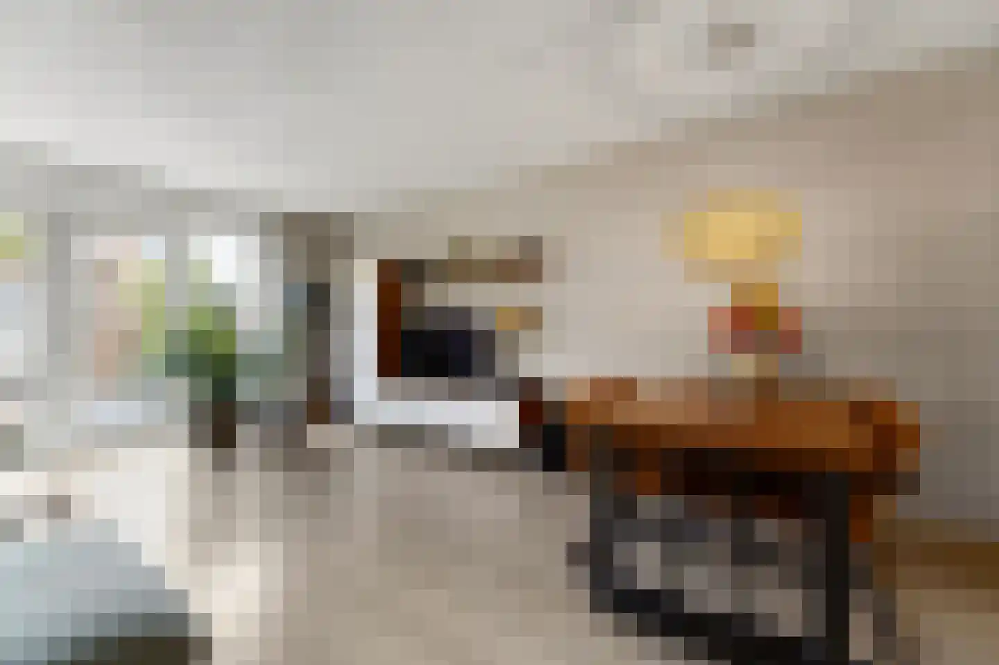 Melkdragerhof 4 Delfgauw thumbnail 12