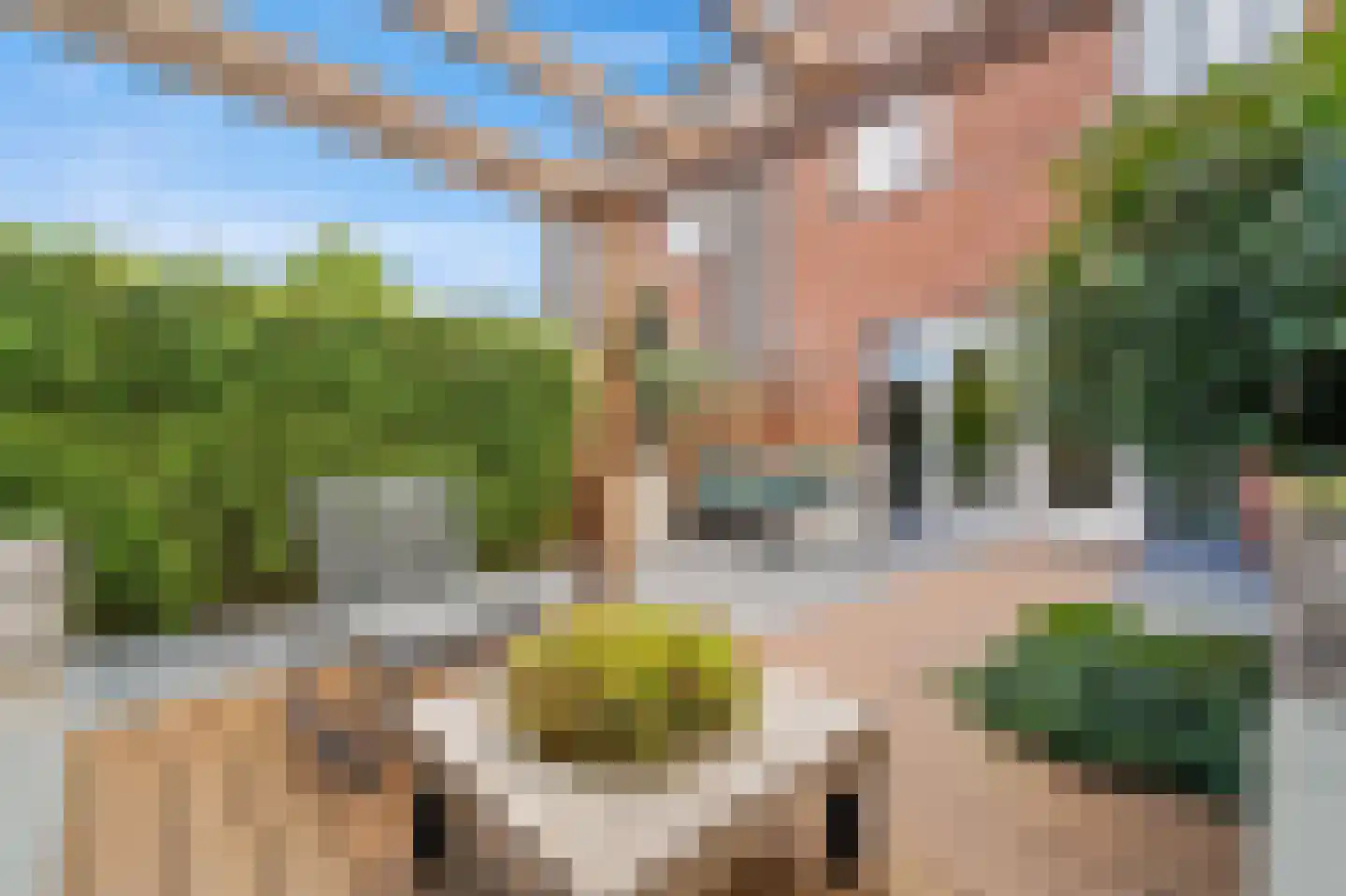 Melkdragerhof 4 Delfgauw thumbnail 24