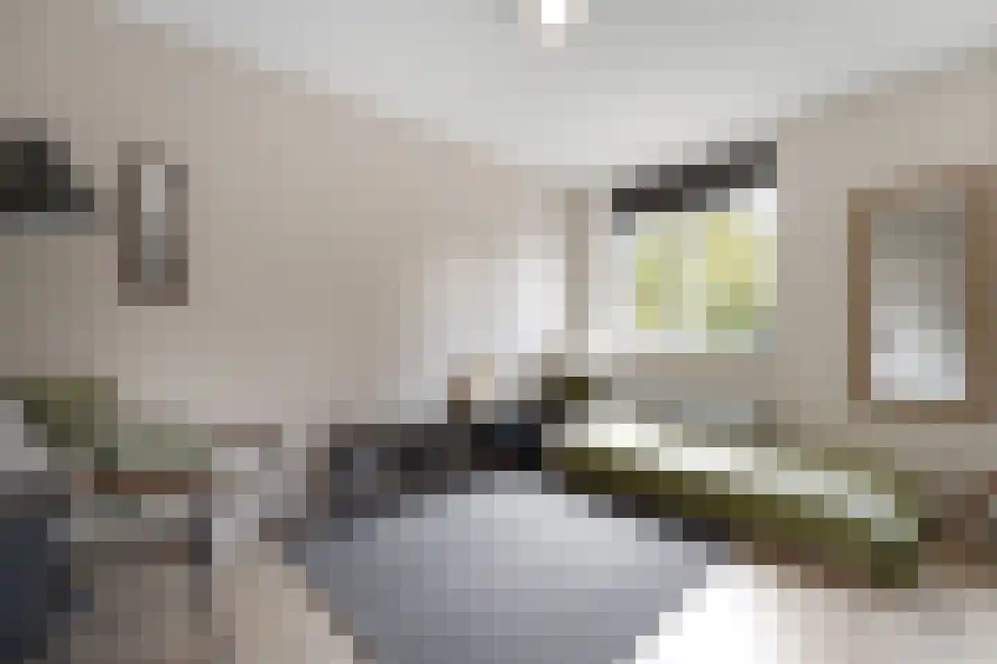 Melkdragerhof 4 Delfgauw thumbnail 27