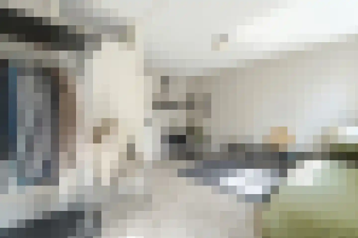Melkdragerhof 4 Delfgauw thumbnail 29