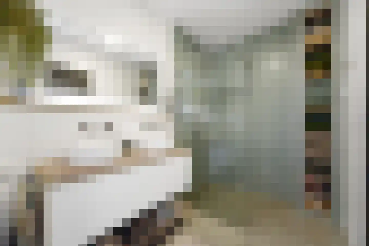 Melkdragerhof 4 Delfgauw thumbnail 31