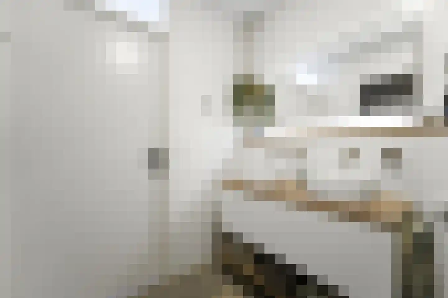 Melkdragerhof 4 Delfgauw thumbnail 32