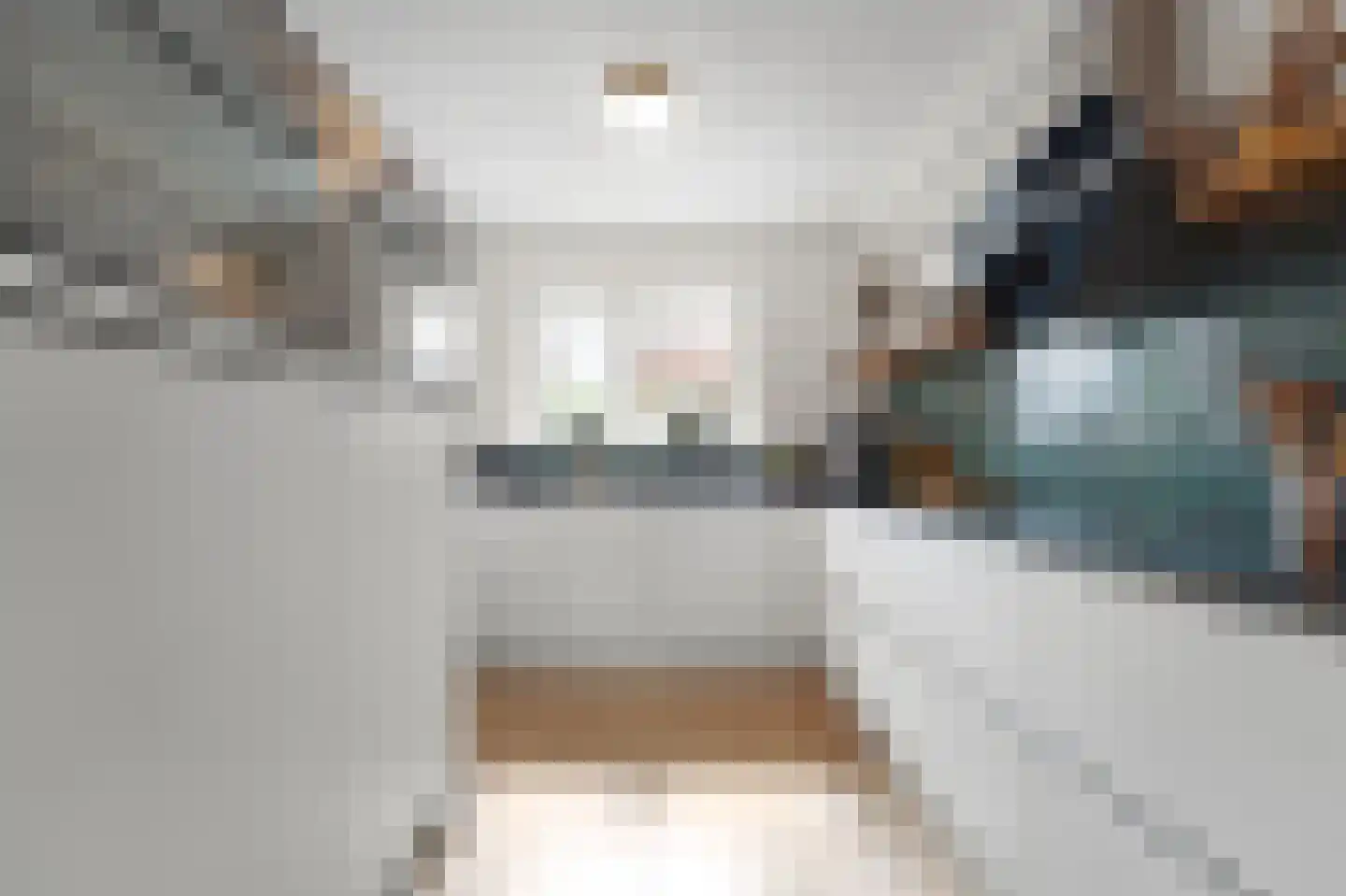 Melkdragerhof 4 Delfgauw thumbnail 4