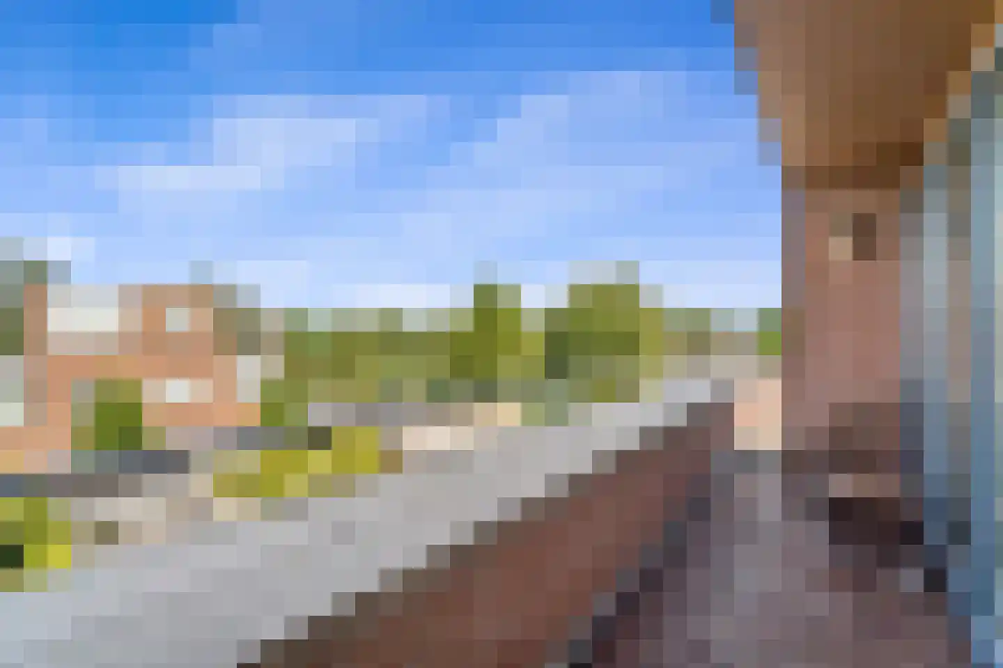 Melkdragerhof 4 Delfgauw thumbnail 41