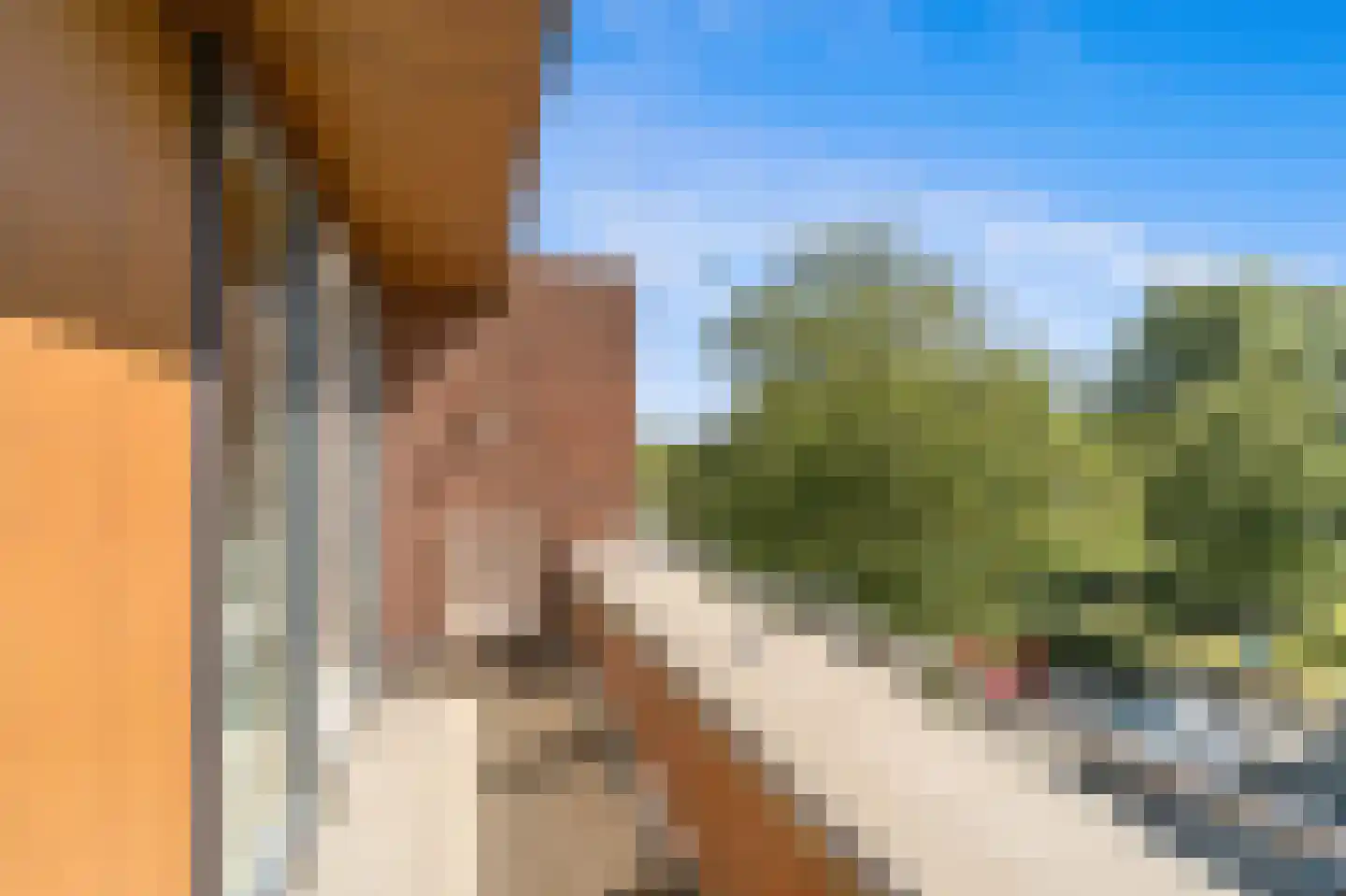 Melkdragerhof 4 Delfgauw thumbnail 45