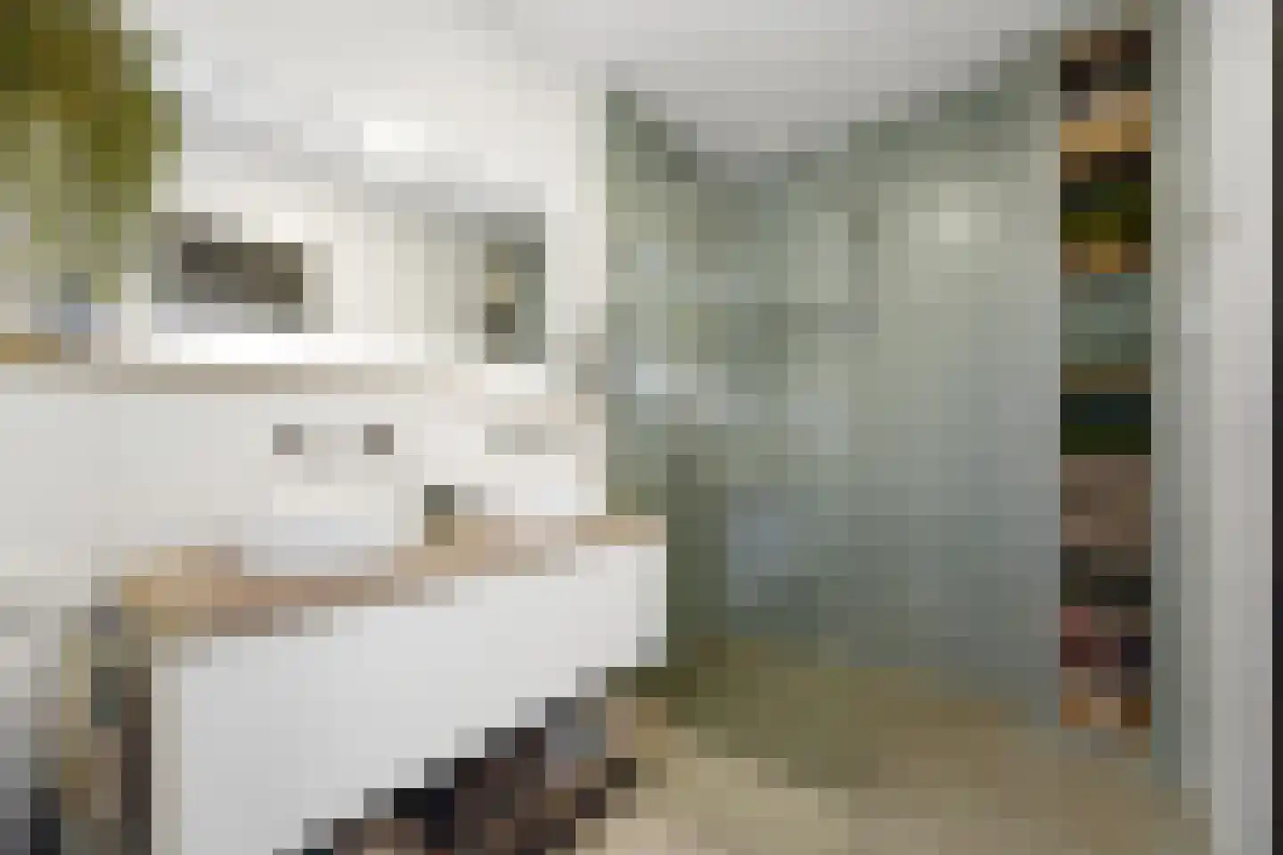Melkdragerhof 4 Delfgauw thumbnail 5