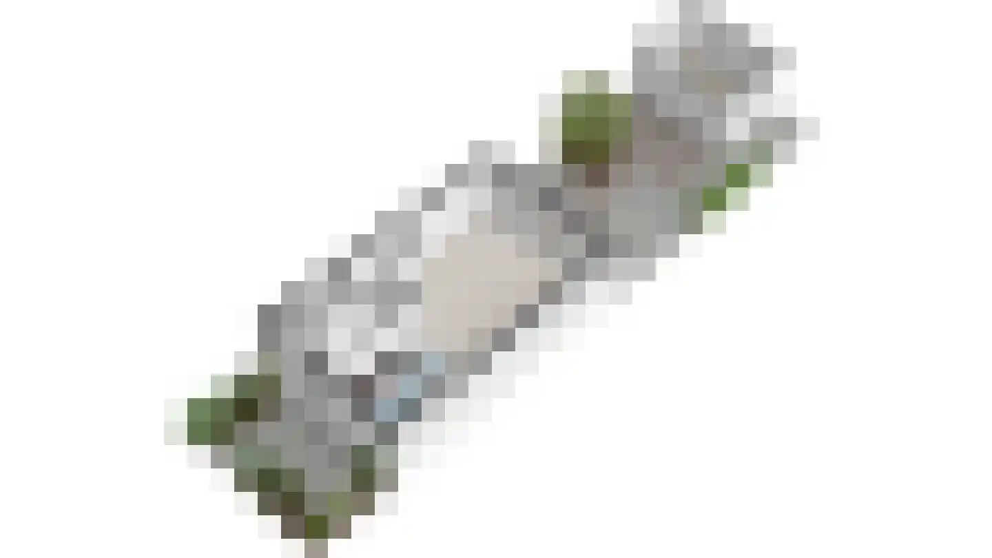 Melkdragerhof 4 Delfgauw thumbnail 56