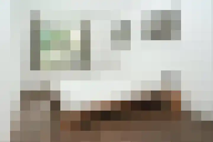Melkdragerhof 69 Delfgauw thumbnail 11