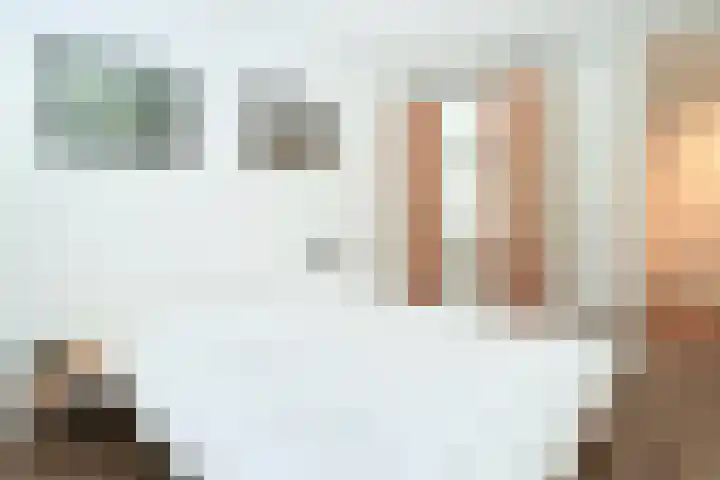 Melkdragerhof 69 Delfgauw thumbnail 12