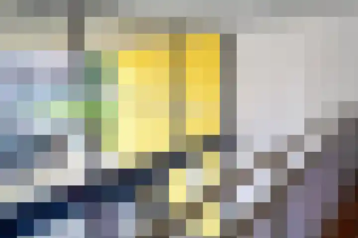 Melkdragerhof 69 Delfgauw thumbnail 17