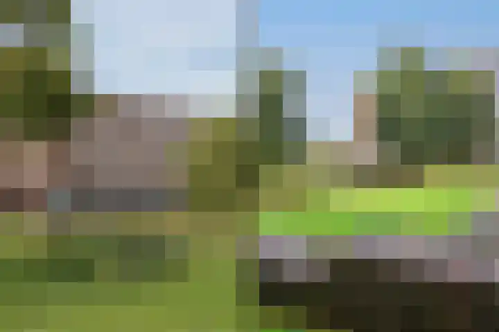 Melkdragerhof 69 Delfgauw thumbnail 19