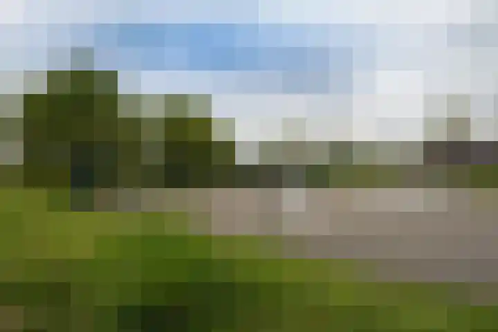 Melkdragerhof 69 Delfgauw thumbnail 20