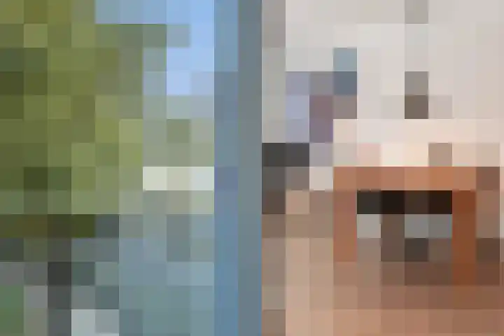 Melkdragerhof 69 Delfgauw thumbnail 6