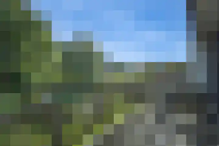 Melkdragerhof 69 Delfgauw thumbnail 8
