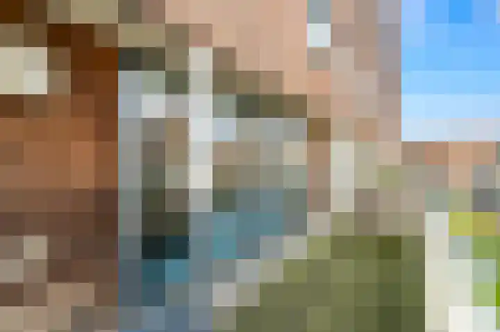 Melkdragerhof 75 Delfgauw thumbnail 13
