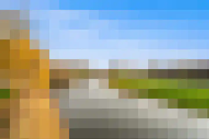 Melkdragerhof 75 Delfgauw thumbnail 14