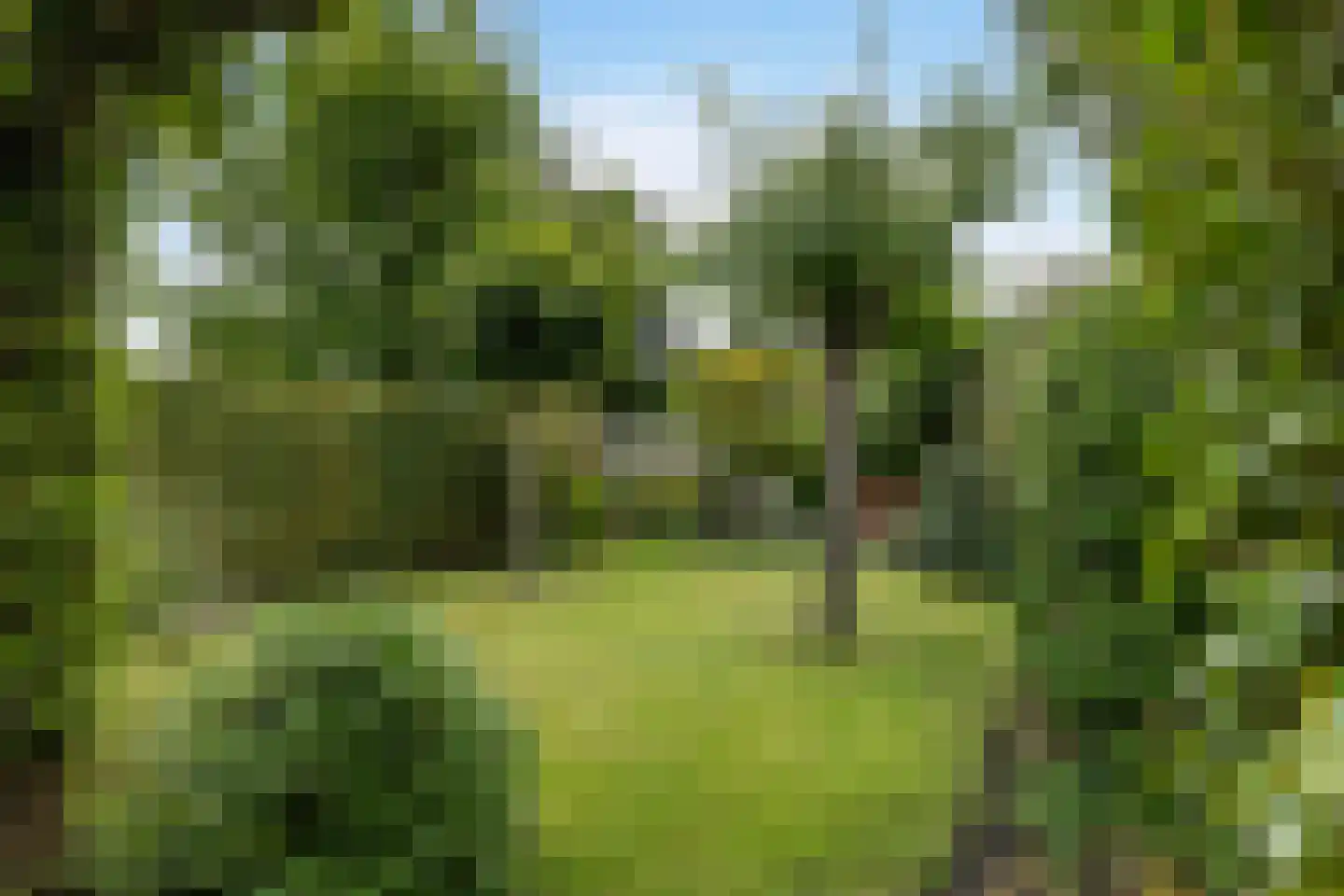 Melkemastate 19 Leeuwarden thumbnail 20