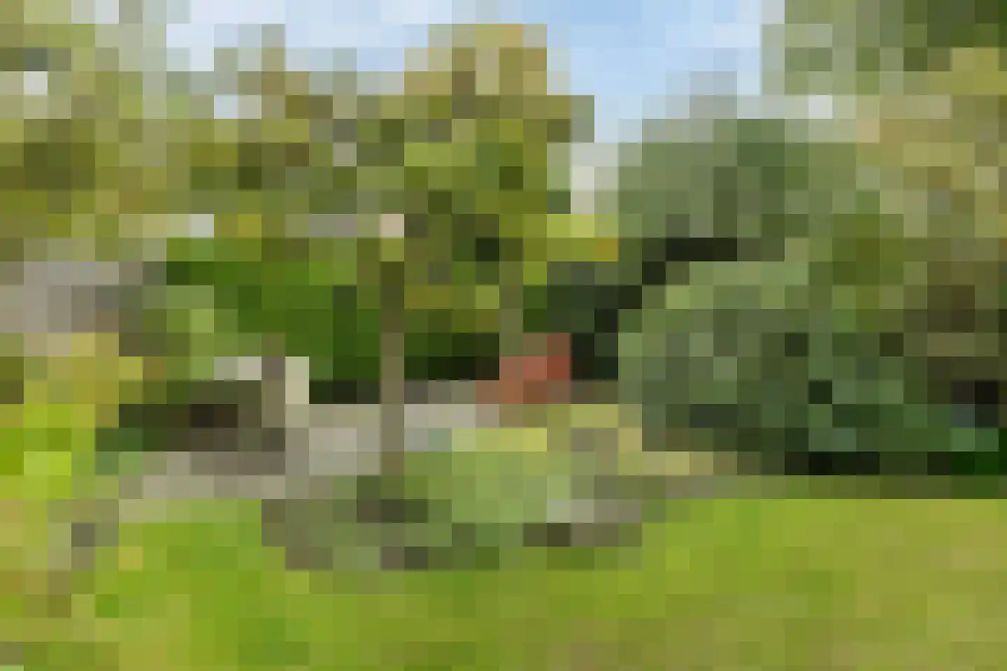 Melkemastate 19 Leeuwarden thumbnail 21
