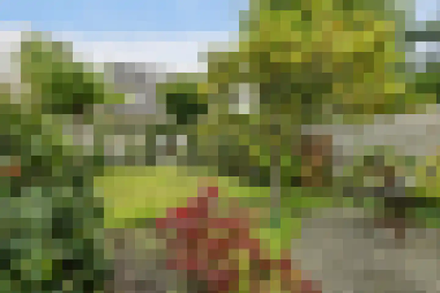 Melkemastate 19 Leeuwarden thumbnail 23