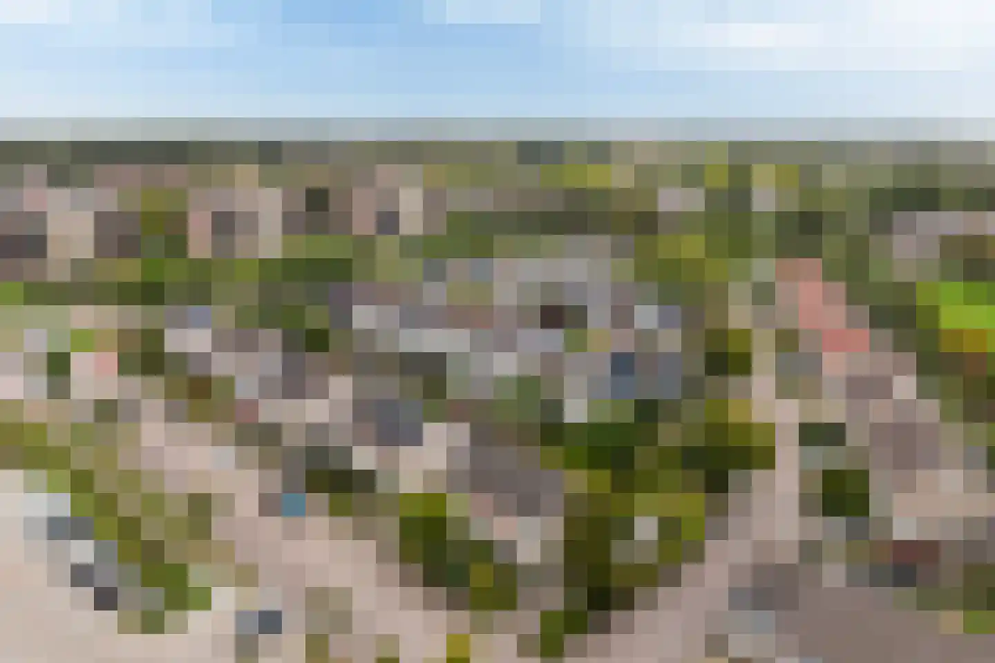 Melkemastate 19 Leeuwarden thumbnail 5