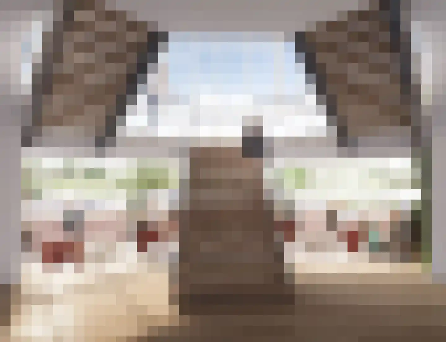 Melkemastate 2 a 16 Leeuwarden thumbnail 11
