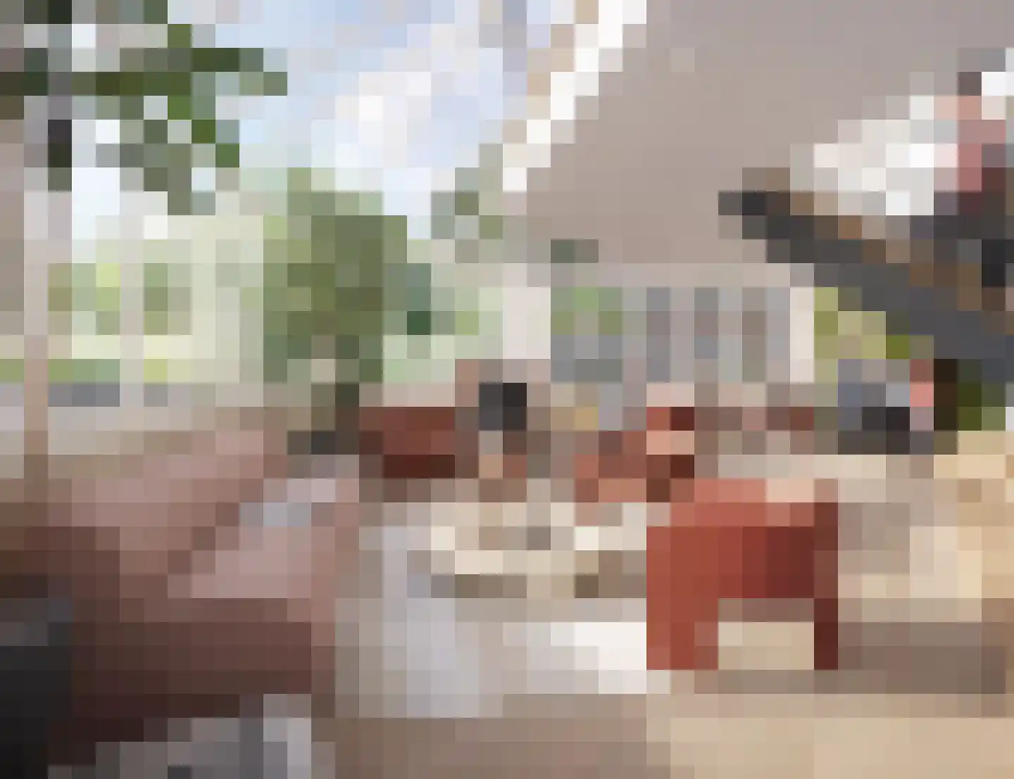 Melkemastate 2 a 16 Leeuwarden thumbnail 8